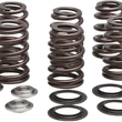 Load image into Gallery viewer, Kibblewhite Precision Beehive Spring Kit - 0.465" Lift - Titanium - M8 | CVO 20-21000 - Main Product View
