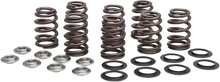 Load image into Gallery viewer, Kibblewhite Precision Beehive Spring Kit - 0.465" Lift - Titanium - M8 | CVO 20-21000 - Main Product View
