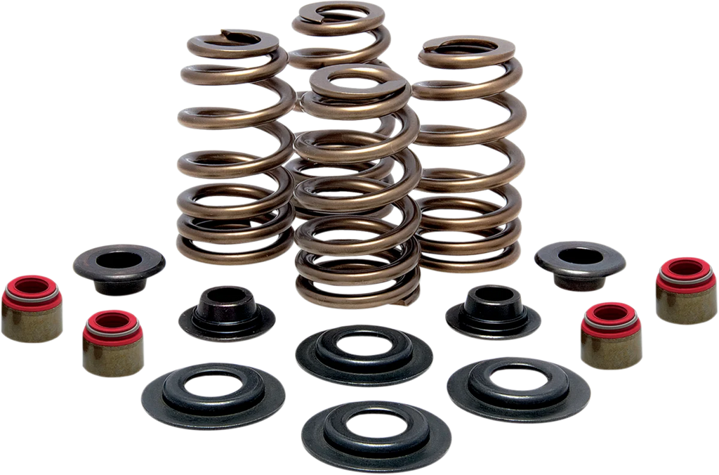 Kibblewhite Precision Beehive Spring Kit - 0.465" Lift - Titanium - M8 | CVO 20-21000 - Side View