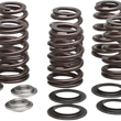 Load image into Gallery viewer, Kibblewhite Precision Beehive Spring Kit - 0.465" Lift - Titanium - M8 | CVO 20-21000 - Main Product View