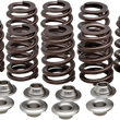 Load image into Gallery viewer, Kibblewhite Precision Beehive Spring Kit - 0.550" Lift - Titanium - M8 | CVO 20-21205 - Main Product View