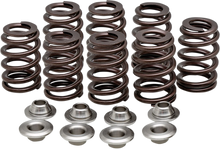 Load image into Gallery viewer, Kibblewhite Precision Beehive Spring Kit - 0.550" Lift - Titanium - M8 | CVO 20-21205 - Main Product View