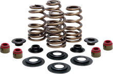 Load image into Gallery viewer, Kibblewhite Precision Beehive Spring Kit - 0.550" Lift - Titanium - M8 | CVO 20-21205 - Side View