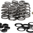 Load image into Gallery viewer, Kibblewhite Precision Beehive Spring Kit - 0.625" Lift - H.T. Steel - M8 | CVO 20-21850 - Main Product View