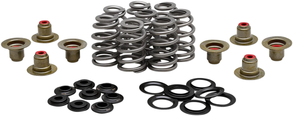Kibblewhite Precision Beehive Spring Kit - 0.625" Lift - H.T. Steel - M8 | CVO 20-21850 - Main Product View