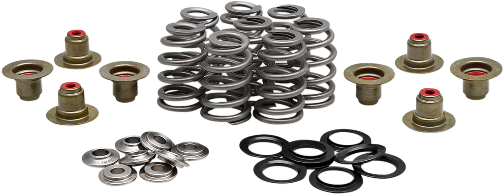 Kibblewhite Precision Beehive Spring Kit - 0.625" Lift - Titanium - M8 | CVO 20-21800 - Main Product View