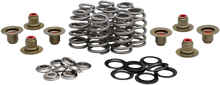 Load image into Gallery viewer, Kibblewhite Precision Beehive Spring Kit - 0.625" Lift - Titanium - M8 | CVO 20-21800 - Main Product View