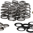 Load image into Gallery viewer, Kibblewhite Precision Beehive Spring Kit - 0.625" Lift - Titanium - M8 | CVO 20-21800 - Main Product View