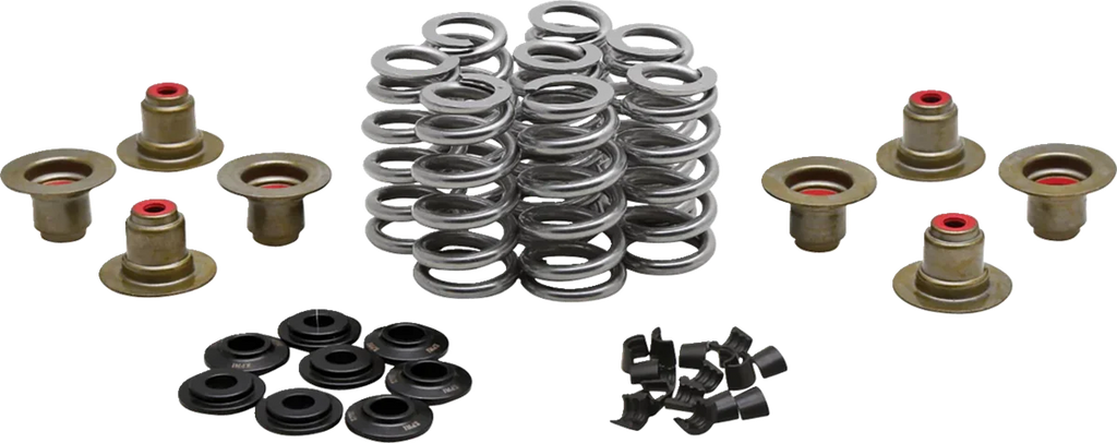 Kibblewhite Precision Beehive Spring Kit - 0.640" Lift - H.T. Steel - M8 | CVO 20-24400 - Main Product View