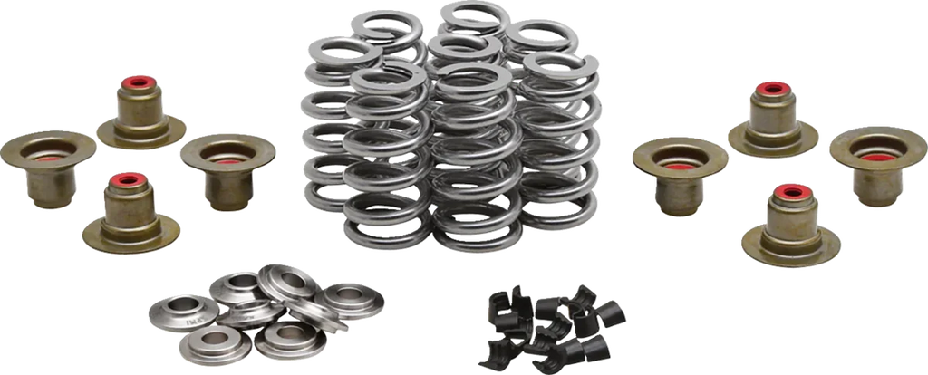 Kibblewhite Precision Beehive Spring Kit - 0.640" Lift - Titanium - M8 | CVO 20-24350 - Main Product View
