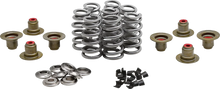 Load image into Gallery viewer, Kibblewhite Precision Beehive Spring Kit - 0.640" Lift - Titanium - M8 | CVO 20-24350 - Main Product View