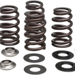 Load image into Gallery viewer, Kibblewhite Precision Beehive Valve Spring Kit 96-96500 - Main Product View