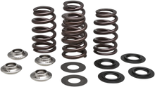 Load image into Gallery viewer, Kibblewhite Precision Beehive Valve Spring Kit 96-96500 - Main Product View
