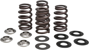 Kibblewhite Precision Beehive Valve Spring Kit 96-96500 - Main Product View