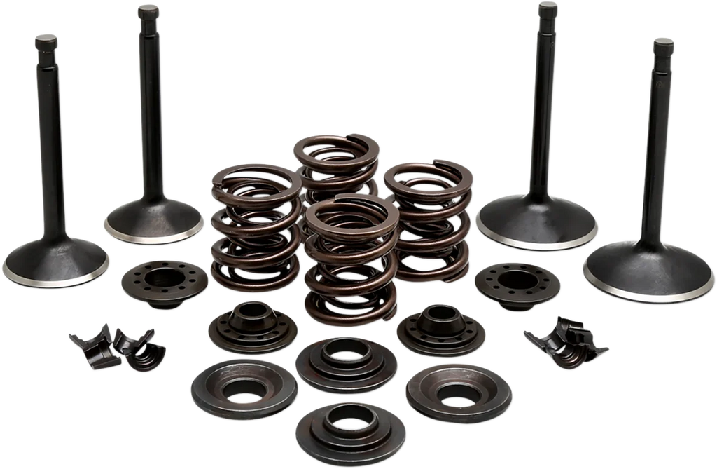 Kibblewhite Precision Complete Valve Kit 20-22350 - Main Product View
