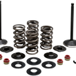 Load image into Gallery viewer, Kibblewhite Precision Complete Valve Kit - Evolution 20-22650 - Main Product View