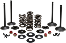 Load image into Gallery viewer, Kibblewhite Precision Complete Valve Kit - Evolution 20-22650 - Main Product View