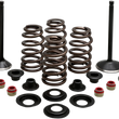 Load image into Gallery viewer, Kibblewhite Precision Complete Valve Kit - Evolution/1200 20-22850 - Main Product View