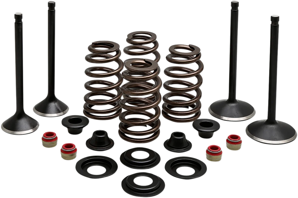 Kibblewhite Precision Complete Valve Kit - Evolution/1200 20-22850 - Main Product View
