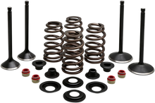 Load image into Gallery viewer, Kibblewhite Precision Complete Valve Kit - Evolution/1200 20-22850 - Main Product View
