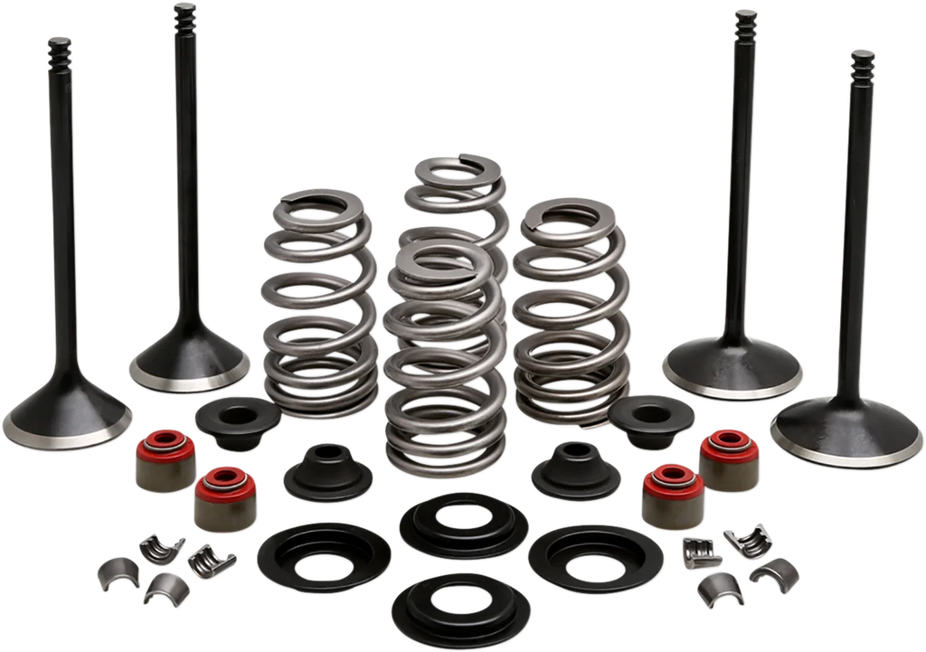 Kibblewhite Precision Complete Valve Kit - Evolution/1200 20-22950 - Main Product View