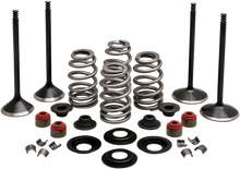 Load image into Gallery viewer, Kibblewhite Precision Complete Valve Kit - Evolution/1200 20-22950 - Main Product View