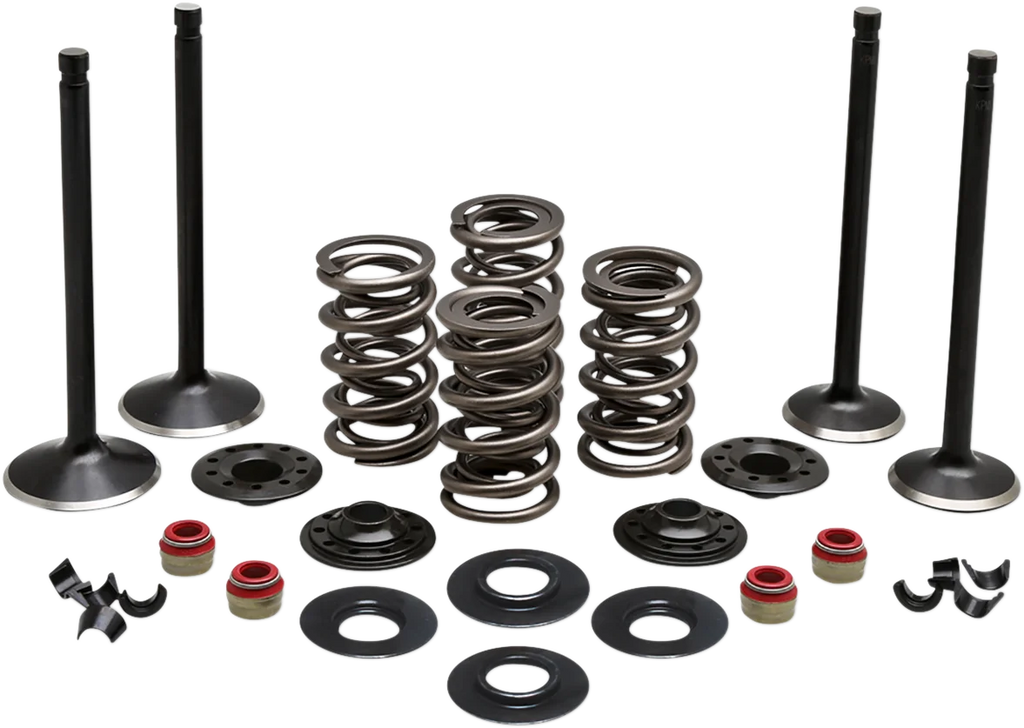 Kibblewhite Precision Complete Valve Kit - Evolution/883 20-22750 - Main Product View