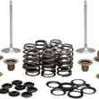 Load image into Gallery viewer, Kibblewhite Precision Complete Valve Kit - M8 20-23350 - Main Product View