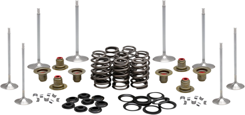 Kibblewhite Precision Complete Valve Kit - M8 20-23350 - Main Product View