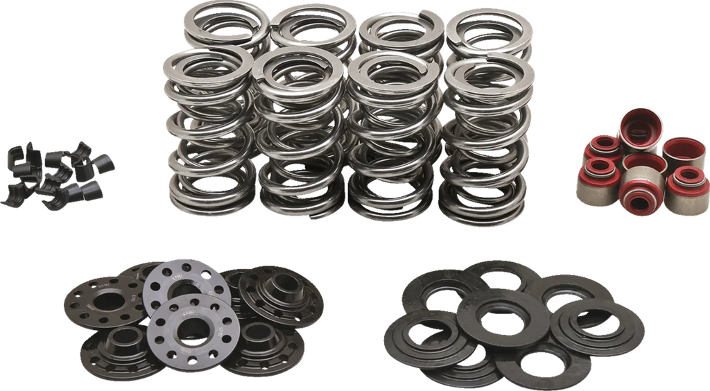 Kibblewhite Precision Dual Spring Kit - M8 20-23850 - Main Product View