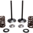 Load image into Gallery viewer, Kibblewhite Precision Intake Spring Kit 30-33200 - Main Product View