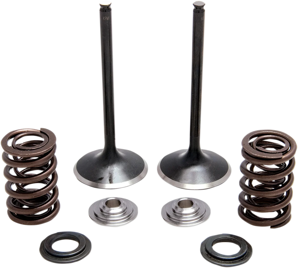Kibblewhite Precision Intake Spring Kit 30-33200 - Main Product View