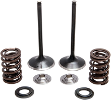 Load image into Gallery viewer, Kibblewhite Precision Intake Spring Kit 30-33200 - Main Product View