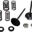 Load image into Gallery viewer, Kibblewhite Precision Intake Spring Kit 30-33250 - Main Product View