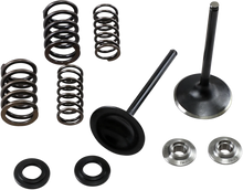Load image into Gallery viewer, Kibblewhite Precision Intake Spring Kit 30-33250 - Main Product View