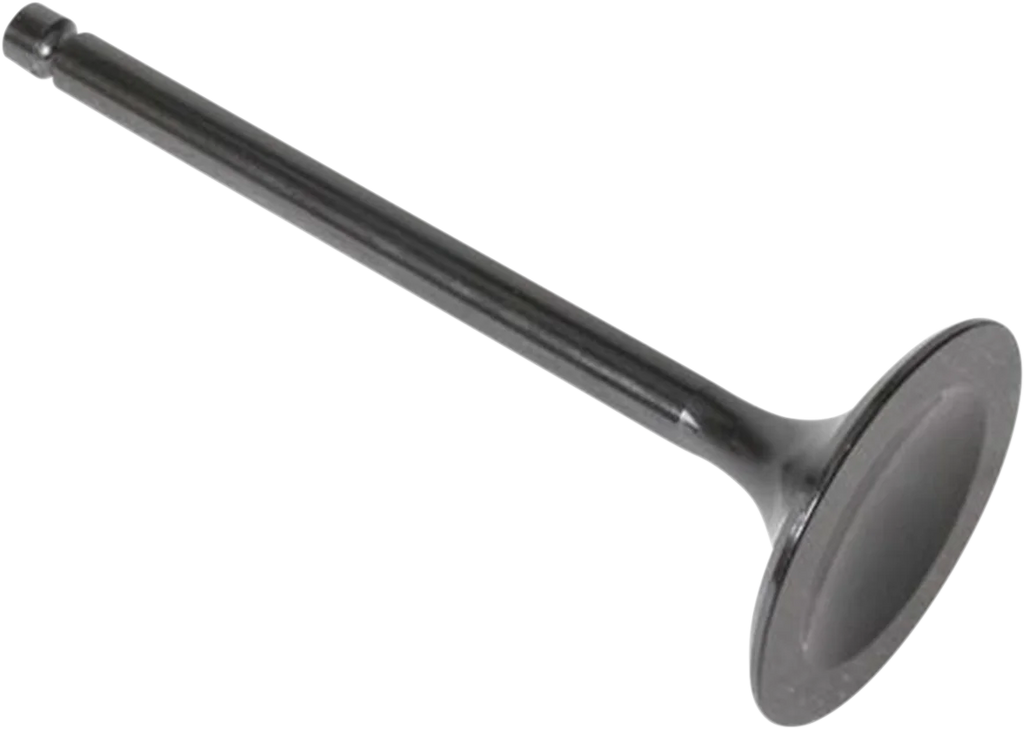 Kibblewhite Precision Intake Valve 30-3003 - Main Product View