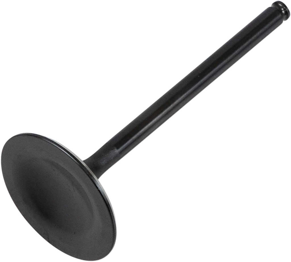 Kibblewhite Precision Intake Valve 30-30220 - Main Product View