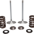 Load image into Gallery viewer, Kibblewhite Precision Intake Valve Kit 30-32780 - Main Product View