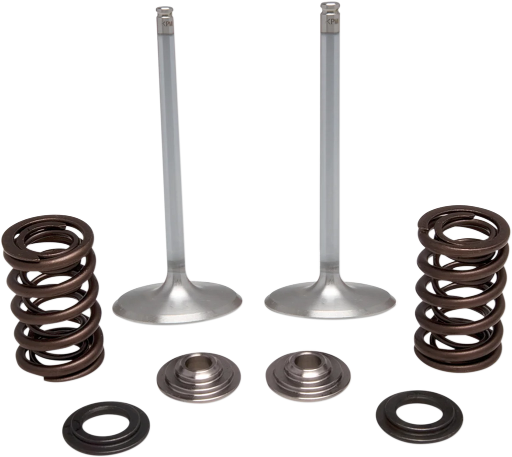 Kibblewhite Precision Intake Valve Kit 30-32780 - Main Product View