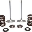 Load image into Gallery viewer, Kibblewhite Precision Intake Valve Kit 40-41450 - Main Product View