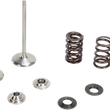 Load image into Gallery viewer, Kibblewhite Precision Intake Valve Kit 80-80970 - Main Product View