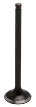Load image into Gallery viewer, Kibblewhite Precision KIBBLEWHITE INTAKEVALVE 25.5MM (STD)
