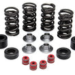 Load image into Gallery viewer, Kibblewhite Precision KIBBLEWHITE VALVE SPRING KIT .385" LIFT