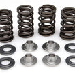 Load image into Gallery viewer, Kibblewhite Precision KIBBLEWHITE VALVE SPRING KIT .415" LIFT