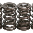 Load image into Gallery viewer, Kibblewhite Precision KIBBLEWHITE VALVE SPRING KIT .460 L. FT