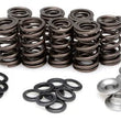 Load image into Gallery viewer, Kibblewhite Precision KIBBLEWHITE VALVE SPRING KIT .500" LIFT