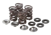 Load image into Gallery viewer, Kibblewhite Precision KIBBLEWHITE VALVE SPRING KIT .500" LIFT