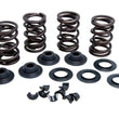 Load image into Gallery viewer, Kibblewhite Precision KPMI RACING SPRING KIT ALUMINUM 0.500" LIFT