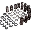Load image into Gallery viewer, Kibblewhite Precision KPMI RACING SPRING KIT TITANIUM 0.445" LIFT