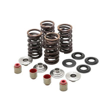 Load image into Gallery viewer, Kibblewhite Precision KPMI RACING SPRING KIT, TITANIUM, 0.450" LIFT